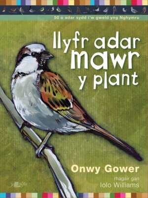 cover image of Llyfr Adar Mawr y Plant
